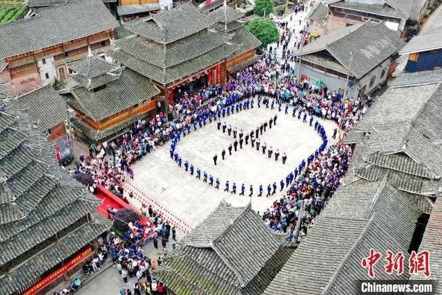 广西哪里种韭菜多_广西韭菜基地_广西韭菜种植技术视频