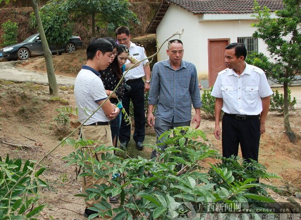 种柠檬的土质要求_致富柠檬种植土壤要求_土柠檬种植致富