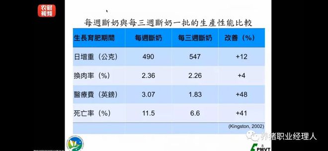 致富经养猪视频母猪_致富经母猪产仔视频_致富经母猪养殖视频