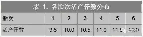 致富经母猪产仔视频_致富经养猪视频母猪_高效养高产母猪视频升级版