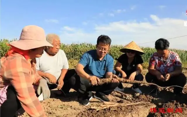 致富经河南种植什么_河南致富项目_河南省种植什么最赚钱