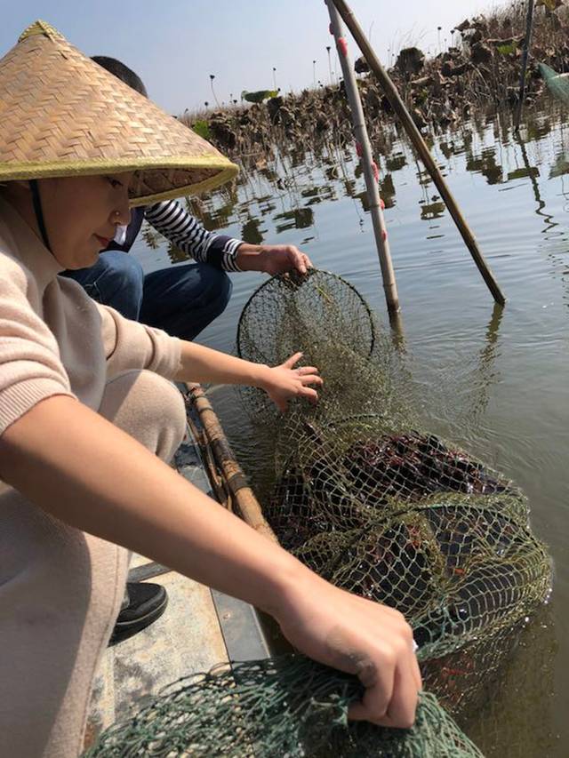 岳阳养殖龙虾致富_益阳龙虾养殖_益阳龙虾养殖基地