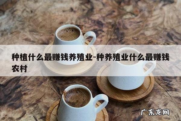 种植什么最赚钱养殖业-种养殖业什么最赚钱农村