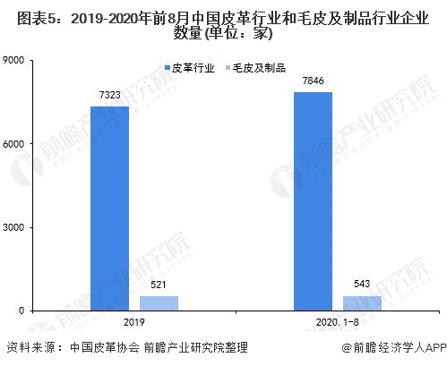 图表5：2019-2020年前8月中国皮革行业和毛皮及制品行业企业数量(单位：家)