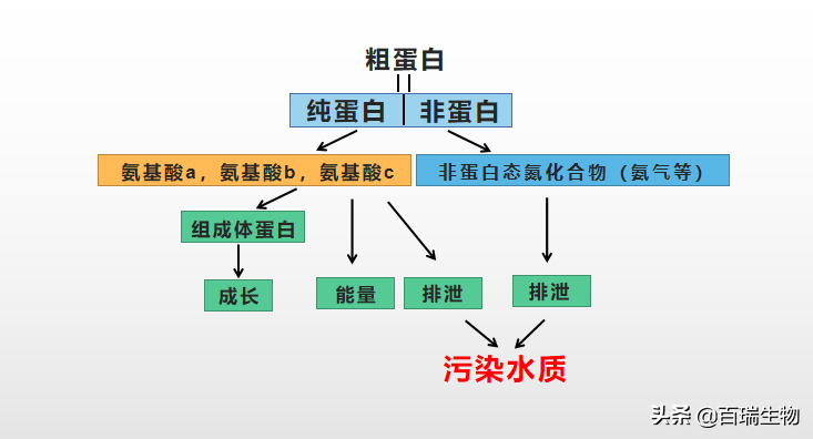 收藏！高密度养殖，鱼虾越难养的处理方法