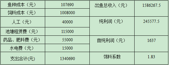 致富养殖好项目大全_如何养殖致富_养殖致富的秘诀