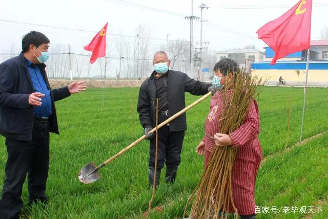 致富种植河南苹果怎么样_河南种植苹果致富_河南省种植苹果的优势条件