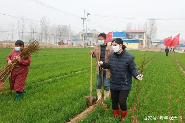 河南种植苹果致富_河南省种植苹果的优势条件_致富种植河南苹果怎么样