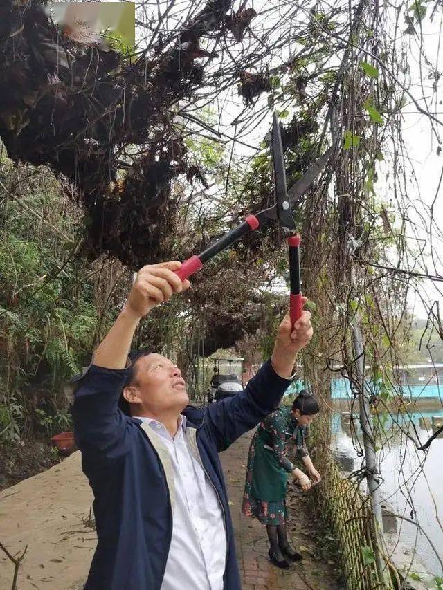 致富养殖黄沙鳖怎么样_养殖致富黄沙鳖_致富养殖黄沙鳖好吗