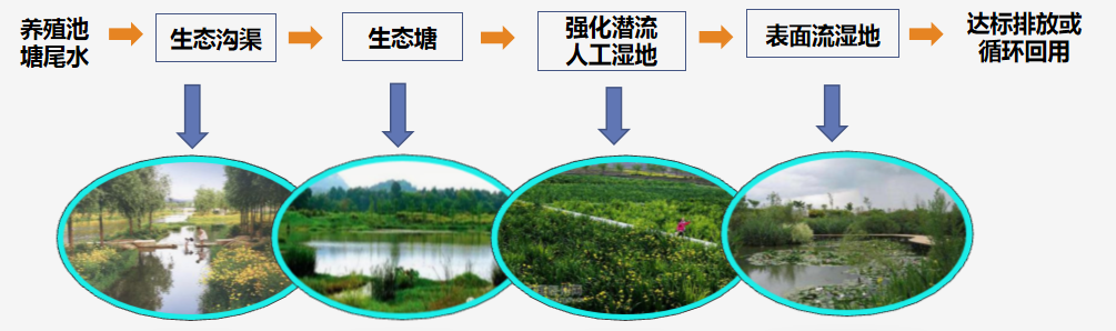 省农业发展中心办公室关于印发水产养殖尾水治理推介模式和技术要点的通知