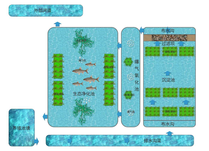 养殖咸水技术视频教程_咸水养殖技术_养殖咸水技术有哪些