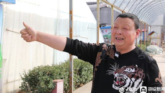 汉中种植蒲公英致富_蒲公英中药材种植_蒲公英种植效益