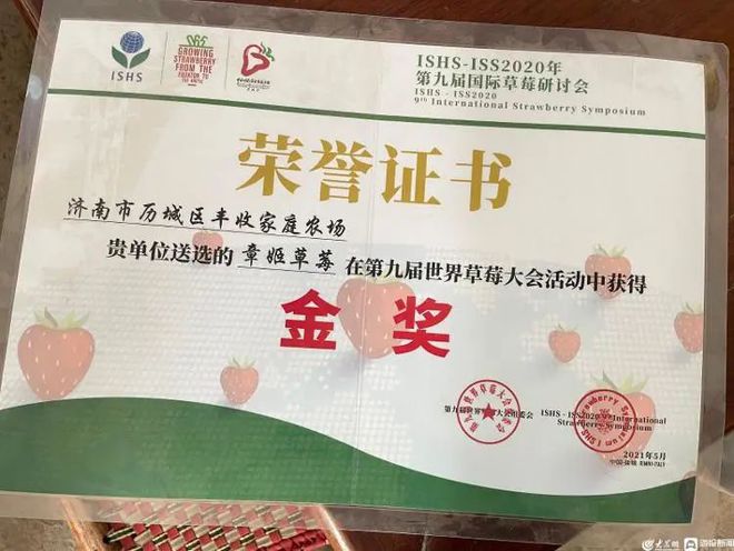 蒲公英种植效益_汉中种植蒲公英致富_蒲公英中药材种植