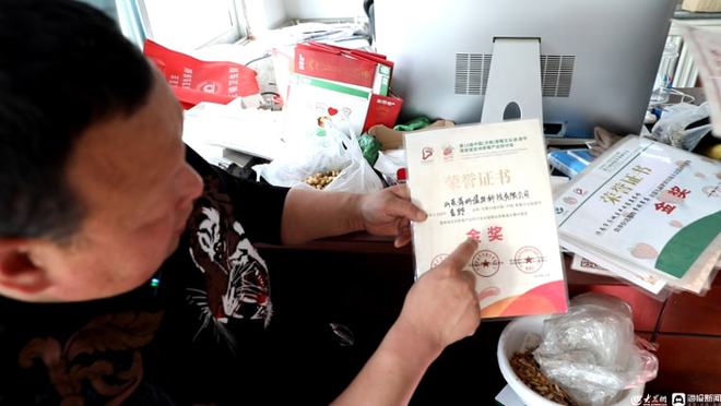 蒲公英中药材种植_汉中种植蒲公英致富_蒲公英种植效益