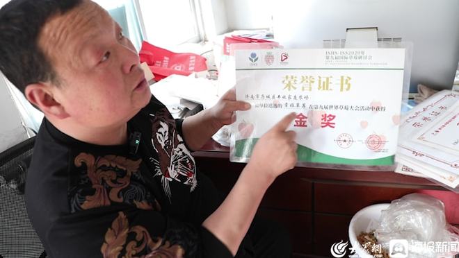 蒲公英中药材种植_汉中种植蒲公英致富_蒲公英种植效益