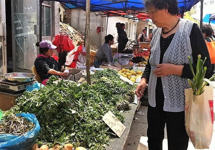 大棚里种出来的野菜，还能姓野么？