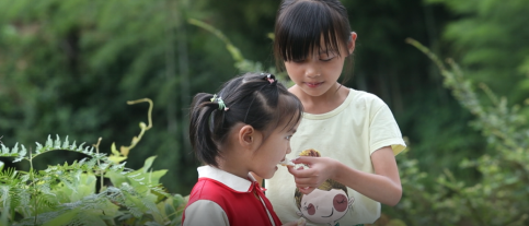 橘子种植_农村致富种植橘子_致富橘子种植农村视频