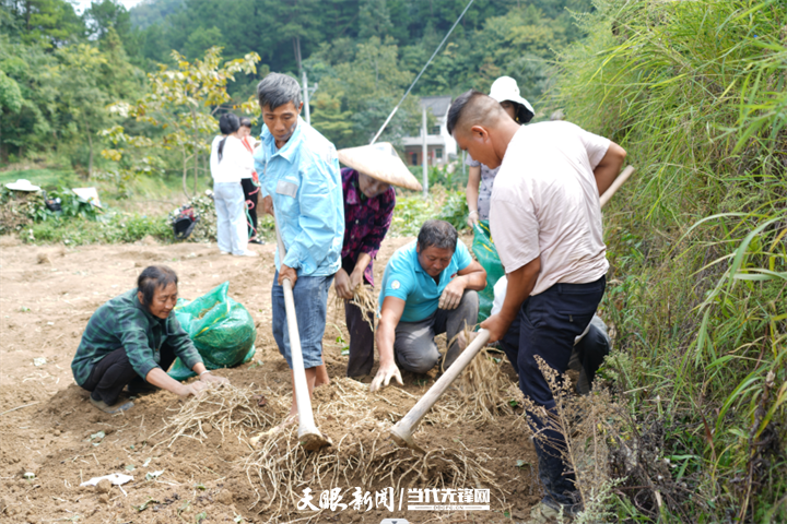 种植野菜挣钱吗_cctv7野菜种植致富经_致富经种菜视频