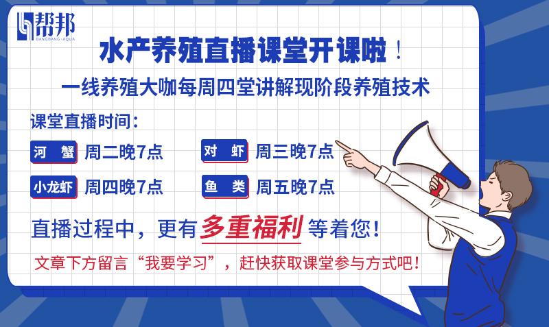 “稻田养虾”年入百余万，围观占全国市场六成小龙虾的养殖秘诀