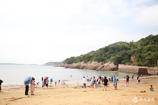 山东莲蓬产地_致富经山东莲蓬_山东农村致富好项目