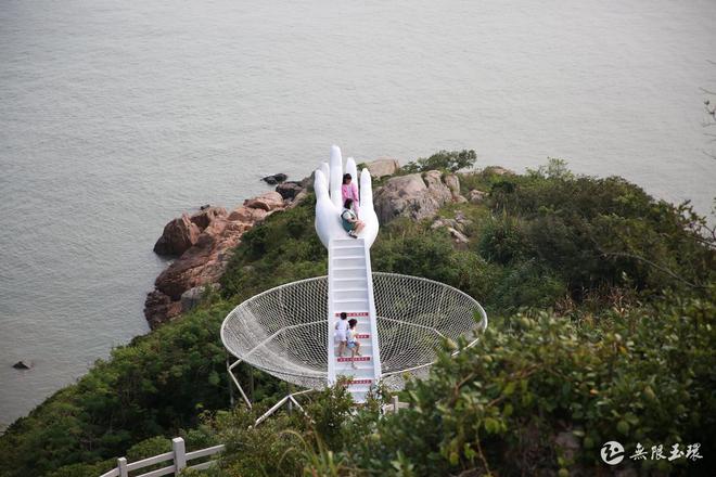 山东农村致富好项目_山东莲蓬产地_致富经山东莲蓬