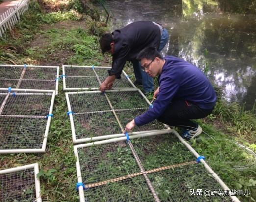 宿迁养殖致富项目_宿迁对养殖业的政策_江苏省宿迁市大型养殖场