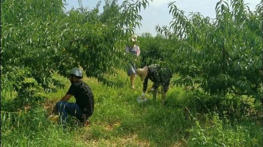 农民致富养殖什么_农民致富种植养殖_致富养殖种植农民有补贴吗