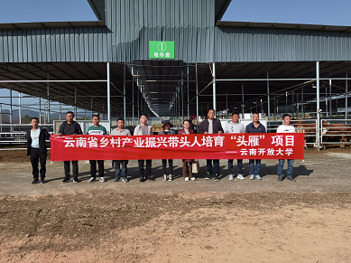 养殖鸡的技术方法视频_养殖鸡视频_武定壮鸡养殖技术