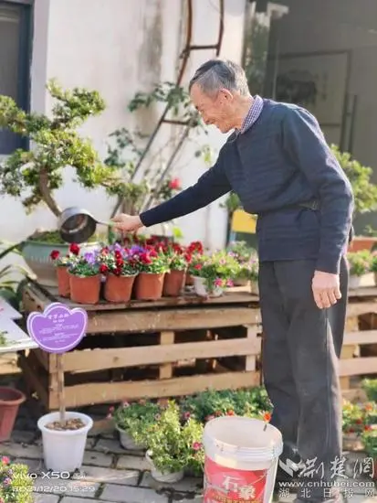 绿化种植致富项目_致富绿化种植项目有哪些_做绿化种植赚钱么