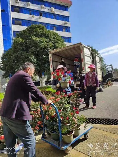 绿化种植致富项目_致富绿化种植项目有哪些_做绿化种植赚钱么