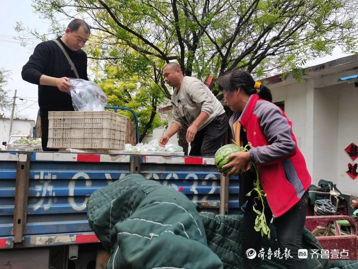 辣椒大棚种植_致富经大棚种菜辣椒_致富辣椒大棚种菜怎么样