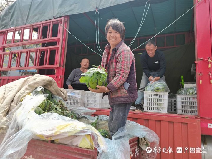 辣椒大棚种植_致富经大棚种菜辣椒_致富辣椒大棚种菜怎么样