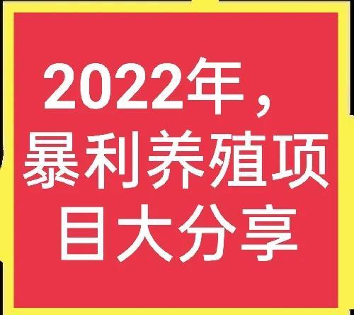 致富经土狗养殖_致富项目养狗_致富经犬类养殖