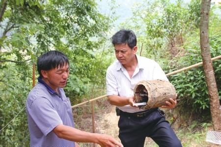 致富经农村养土鸭视频_养鸭视频致富经_土鸭养殖技术视频