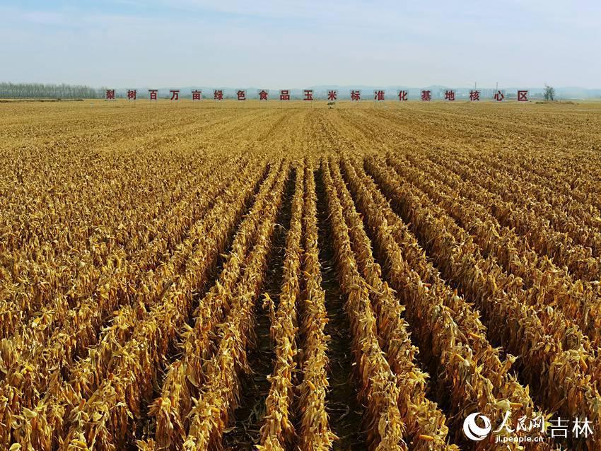 四平梅花鹿养殖基地_四平梅花鹿养殖技术_四平梅花鹿养殖视频