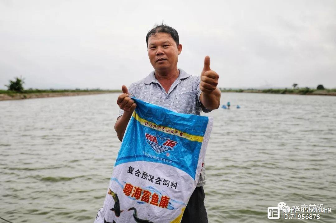 黄鳍鲷鱼苗怎么养_黄鳍鲷鱼养殖技术_黄鳍鲷的养殖技术