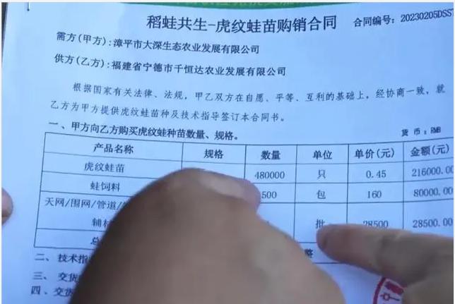 福建漳平村民93万尾蛙苗被镇政府强制消杀，当地：很蹊跷，还在调查