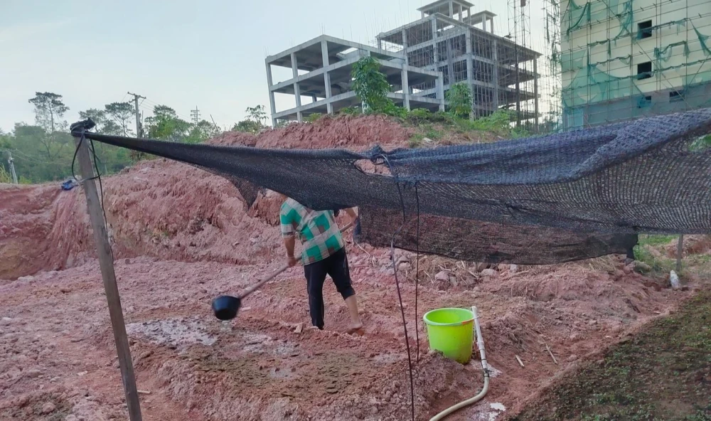 地龙人工养殖技术视频_养殖地龙赚钱吗_人工怎么养地龙