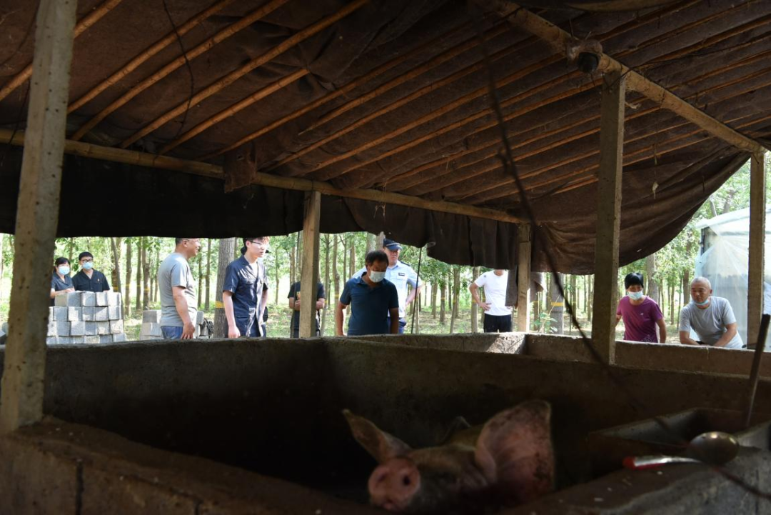 徐州金蝉养殖基地_养殖徐州金蝉技术怎么样_徐州金蝉养殖技术