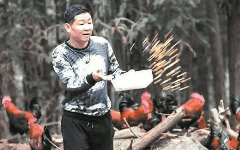 致富经山洞养鸡_致富养鸡_致富经鸡住树上