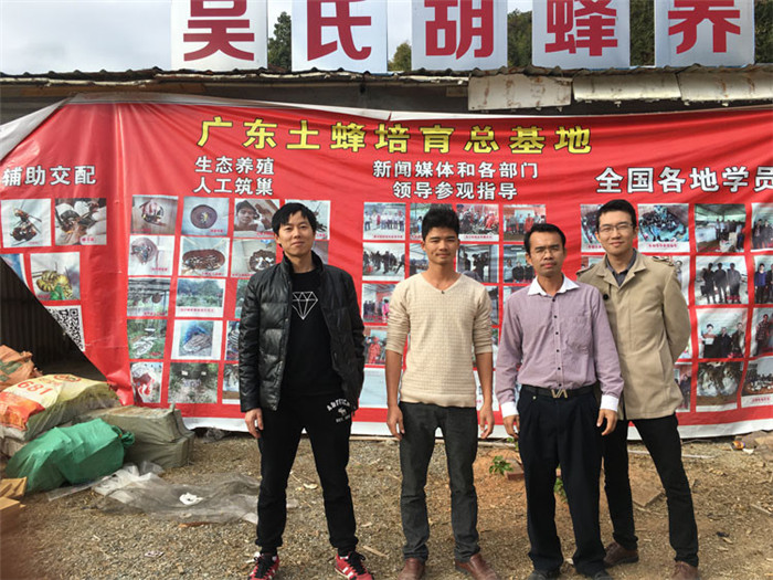 黄蜂养殖前景_黄蜂养殖技术培训_黄蜂养殖技术视频直播