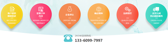 黄蜂养殖技术培训_黄蜂养殖前景_黄蜂养殖技术视频直播