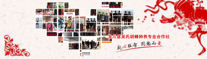 黄蜂养殖技术培训_黄蜂养殖技术视频直播_黄蜂养殖前景