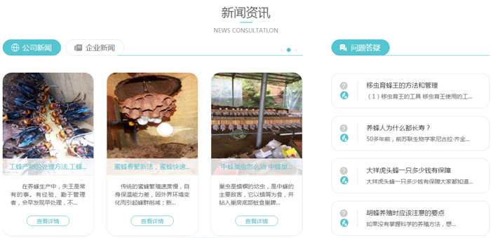 黄蜂养殖前景_黄蜂养殖技术培训_黄蜂养殖技术视频直播