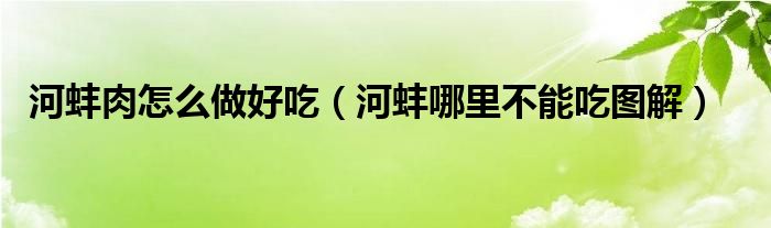 养殖食用河蚌技术视频_食用河蚌养殖致富经_食用河蚌养殖技术