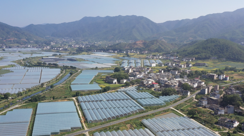 农广天地养殖黄鳝技术视频一_黄鳝养殖视屏_黄鳝养殖技术视频直播