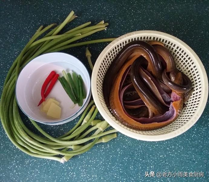 黄鳝养殖技术视频直播_农广天地养殖黄鳝技术视频一_黄鳝养殖视屏