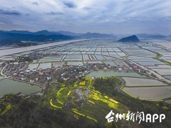 致富养殖青蟹图片_青蟹养殖致富经_青蟹养殖5亩赚800万