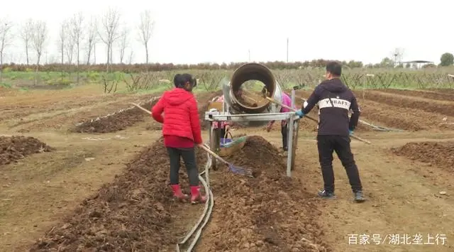 小小蚯蚓用处大！小伙回乡养蚯蚓，靠它走出了发家致富路