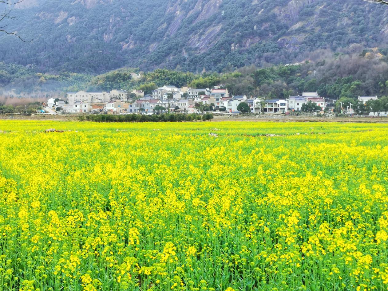 青阳县朱备镇：“花样”乡村促振兴